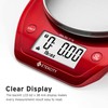 Etekcity Báscula de cocina de alimentos de 0,1 g, tazón,