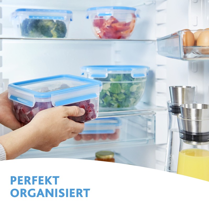 Emsa N1011600 Clip & Close Food Storage Containers, 2-Piece Set,
