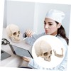 Kichvoe Realistic Detachable Human Skull Model Anatomically Accurate Medical Skull