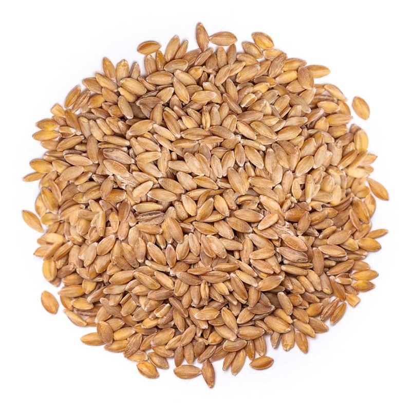 Food to Live - Organic Einkorn Wheat Berries, 1 Pound