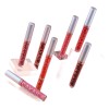 Brillo Labial Cakaila 1 Colors 1pza Rosado Impermeable