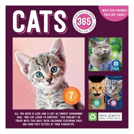 TF PUBLISHING 2025 Cat A Day Daily Desktop Calendar - Home and Office Organization - Over 300 Full-Color Easy Tear-Off Pages - Attached Fold-Out Cardboard Easel for Desks - 5.25” x 5.25”