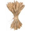 yarlung 300 Stems 16 Inch Dried Wheat Sheaves, Natural Wheat