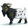 Schleich - Mini Billy Goat
