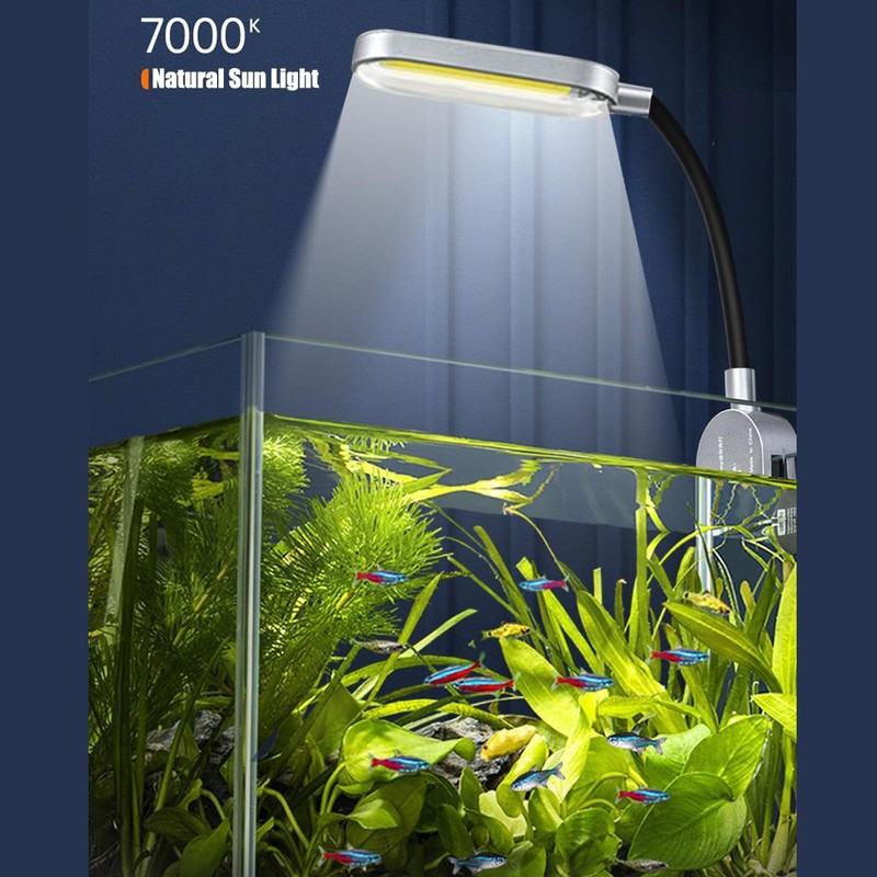 Craftsboys 1.5 Gallon Fish Tank Starter Kits, Nano Glass Aquarium