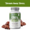 Om Reishi Mushroom 667mg 75 count