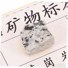 Mobestech Educational Mineral Rocks Collection 12 Specimens Portable Set Geology Study Classroom Use Ideal Present