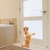 In hand Clear Pet Door Scratch Protector Shield Protect Your