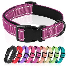HEELE Dog Collar, Nylon Dog Collar, Reflective Dog Collar with Soft Neoprene Padded for Puppies, Small, Medium, Large Dogs, Length Adjustment Range 34-52 cm, Magenta Red, M