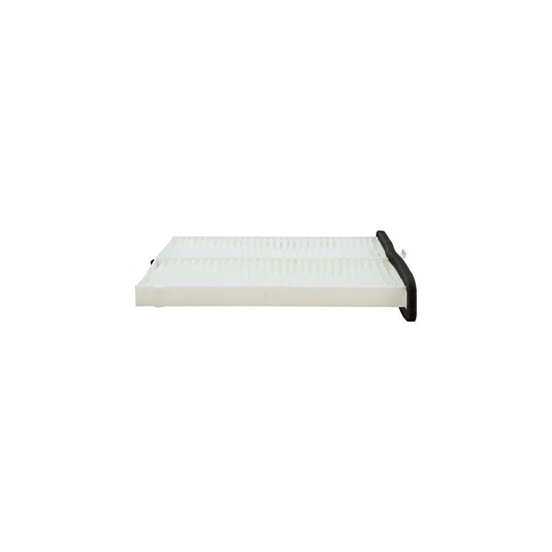 Ecogard XC10189 Filtro de aire de cabina premium para coche
