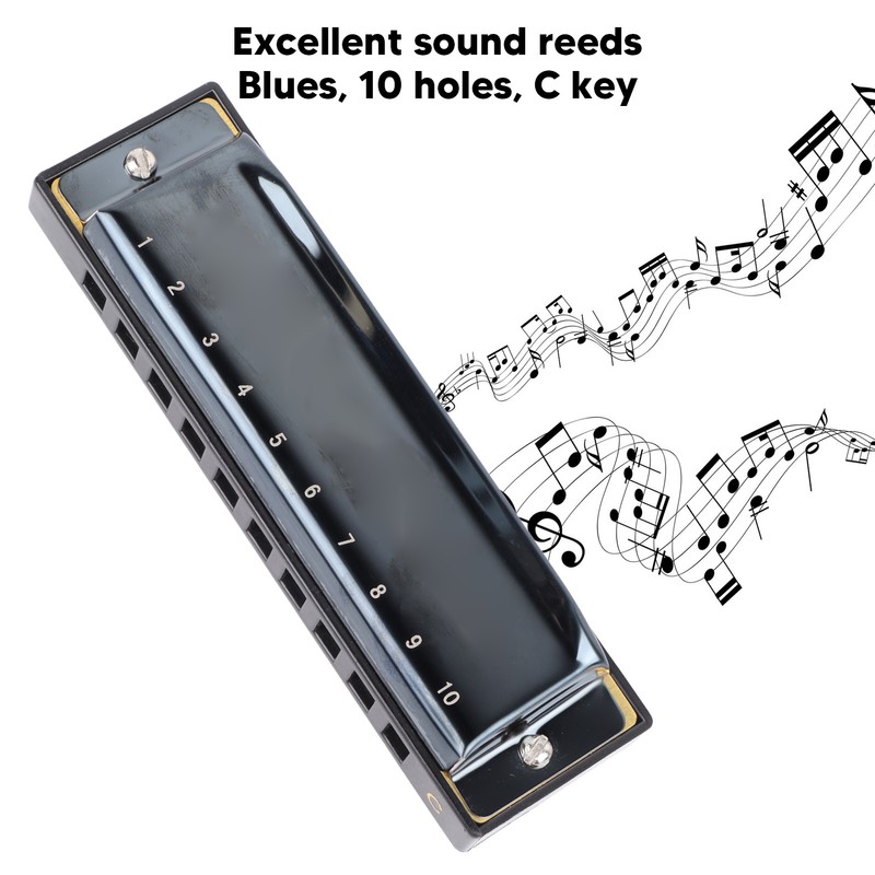 Black Harmonica C Key 10 Hole Blue Harp Stainless Steel