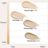 SISTER ANN Satin Cover Cushion 15g/15g*2ea, Shade:#C21 Cool Beige