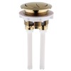 Housler ® Brushed Brass Push Button and Adjustable Dual Flush,