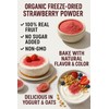 Panfruit Organic Freeze-Dried Strawberry Powder – No Sugar Added, Non-GMO,