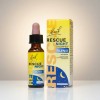 Flores Bach Rescue Remedy Noche Mejora Sueño Relajación
