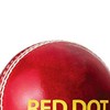 DSC Red Dot Leather Cricket Ball (Red)| Water Proofed Leather