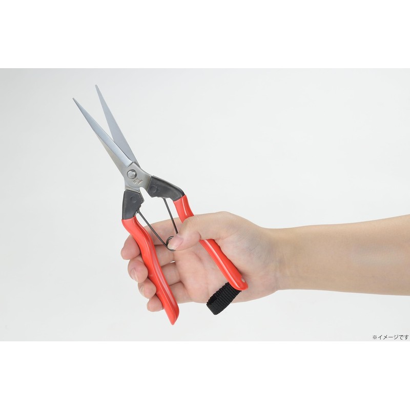 Takagi Koshiji×TAKAGI Stainless Steel Blade Long Bud Cutting/Fruit Thinning Shears