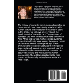  My First Cat: Training, Nutrition and Education