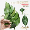 Extreme Sakaki SV Camellia Leaf Extra Thick Type S Size