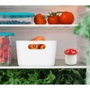 Mushroom Baking Soda Holder For Fridge Deodorizer Ceramic Baking Soda