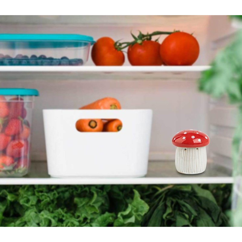 Mushroom Baking Soda Holder For Fridge Deodorizer Ceramic Baking Soda