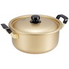 Hokuriku Alumi Two-Handled Pot, 10.2 inches (26 cm), [Gas Fire