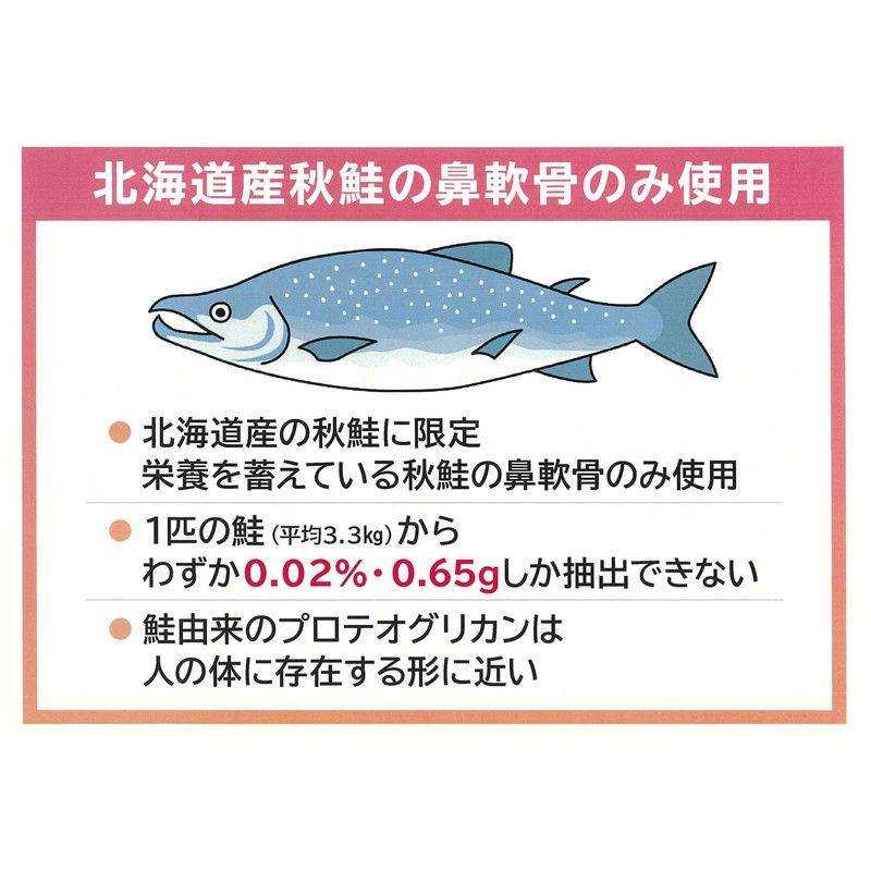 プラーゲン 生コラーゲン 生プロテオグリカン 国産 健康生活 美容 全身美容 乳酸菌 免疫力 健康力