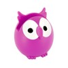 Pylones Eye Glasses Holder Owl, Rosepink by Pylones