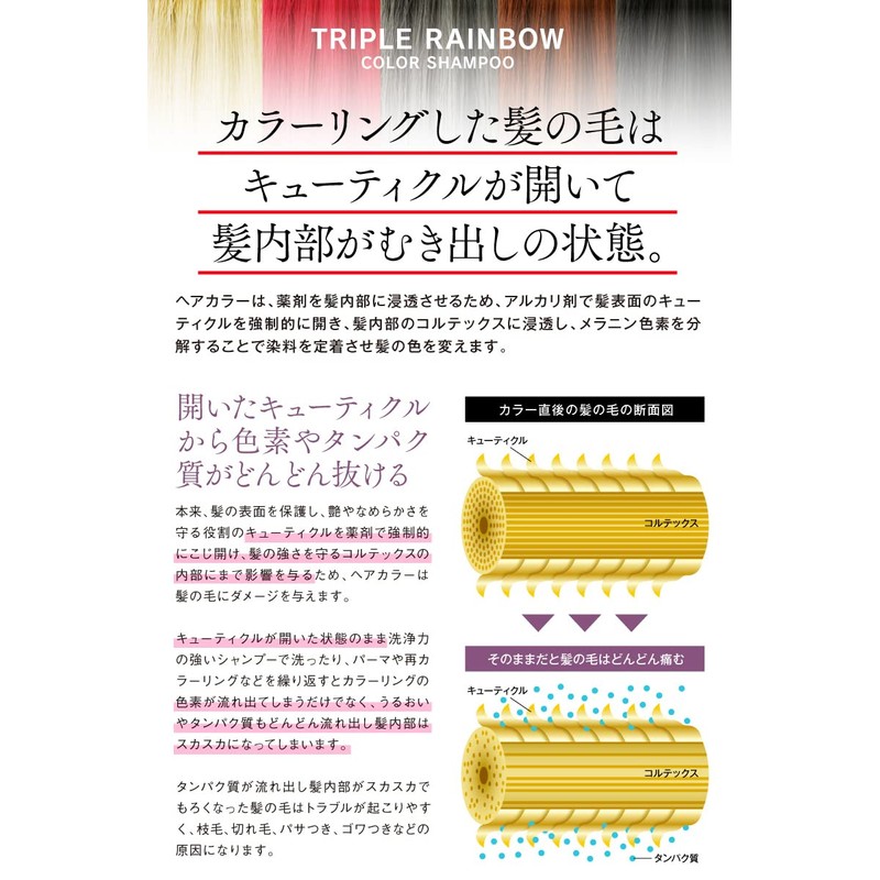 Triple Rainbow Color Shampoo, Black, 10.1 fl oz (300 ml),