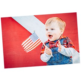BESPORTBLE 2sets American Hand Waving Flags Mini Usa Flag Quality Waving Ideal for Clubs National Festivals 12pcs*2