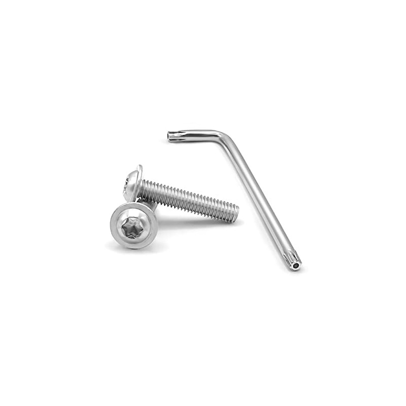 Rounded Head Screws with Flange TORXM6 (M6 x 60)