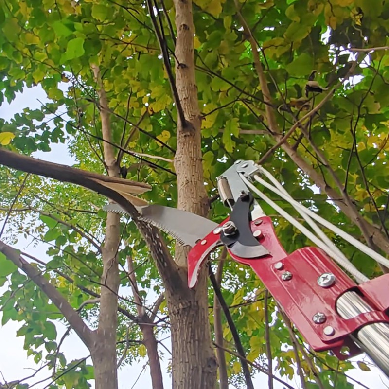 WHLZYEVA Extendable Pole Saw & Pruner, 13.6FT 2-in-1 Tree Trimmer