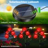 HELESIN Solar Lights Replacement Parts 2 Pieces, 8 Different Light
