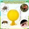 Qualirey Fruit Fly Sticky Trap Balls - 10 Pack Gnat