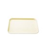 Dental Flat Instrument Set-Up Tray Size F Mini Autoclavable Size