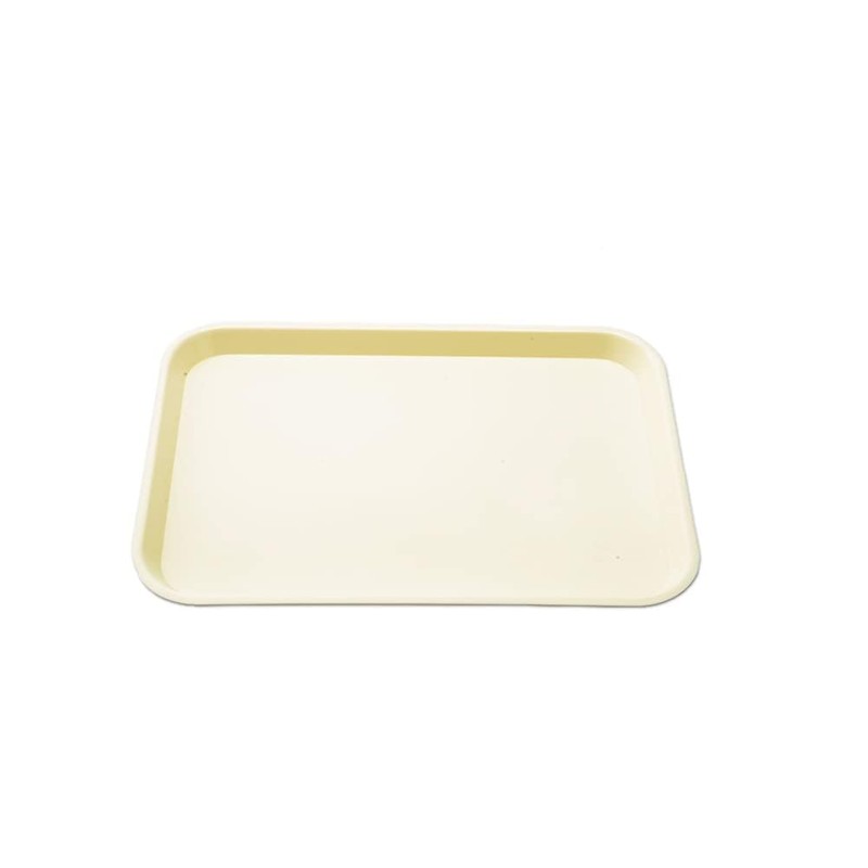 Dental Flat Instrument Set-Up Tray Size F Mini Autoclavable Size