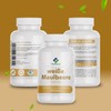 White Mulberry Extract 500 mg 60 Capsules Sugar Metabolism