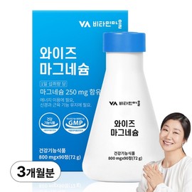 Vitamin Village Wise Magnesium 72g, 90 tablets, 1 piece / 비타민마을 와이즈 마그네슘 72g, 90정, 1개