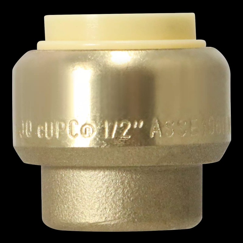 Push Fit 2 Pcs XFITTING Push Fit Cap 1/2 inch,
