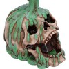 Nemesis Now Fatal Elixir Skull Potion Bottle 19.5cm, Resin, Cast