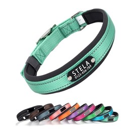 Yonsbox Collar Reflectante Personalizado para Perros con Placa Grabada – Collar de Nylon Ajustable con Placa de Identificación Silenciosa, Cómodo, Duradero y Reflectante para Seguridad Nocturna