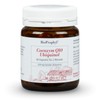 Biop Rophyl® Manufactured Coenzyme Q10 – Pure, High Quality Fermentativer