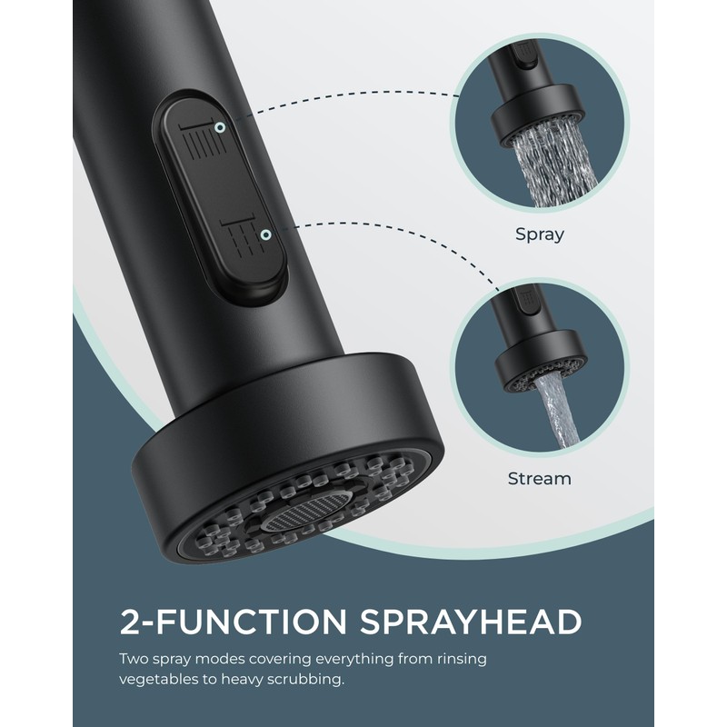 FORIOUS Black Kitchen Faucet with Soap Dispenser, Single Handle Stainless