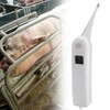 Fast Clinical Digital Thermometer Pet Animals Dogs Cats Birds Livestock