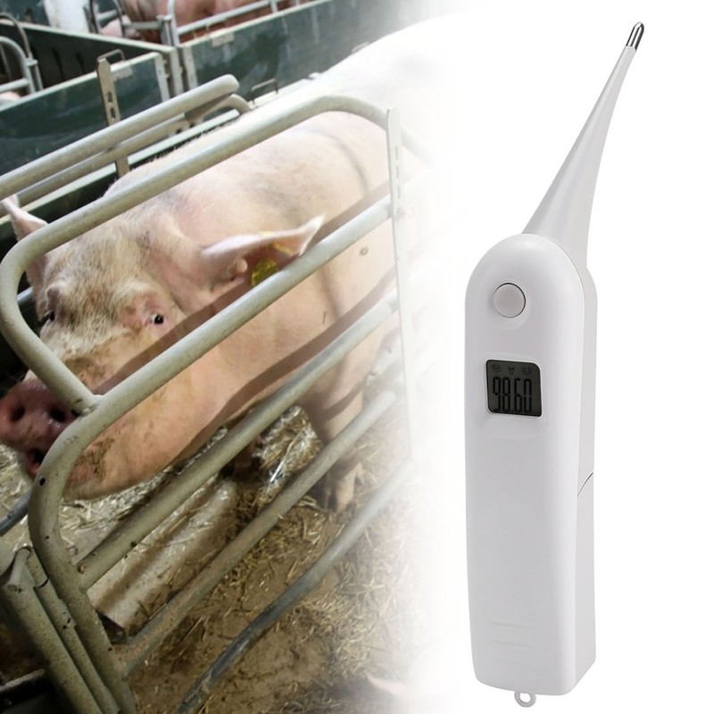 Fast Clinical Digital Thermometer Pet Animals Dogs Cats Birds Livestock