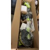 Yougfin Cordless Lawn Trimmer Weed Wacker 3 in 1, 20V