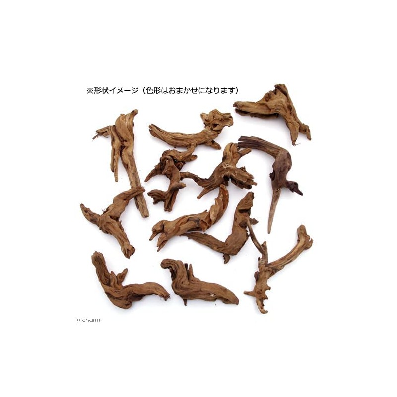 Boiled High Quality Driftwood, Miyabi, Small Size (Approx. 5.9 -