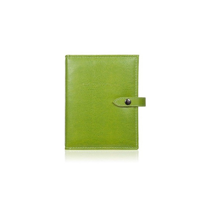 The Little Book of Earrings - Green Liz - 48