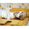 Lot de 2 éponges corporelles fleur de douche éponge de