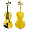 Paititi, 4-String Violin (PTTVN202-4/4-GD)
